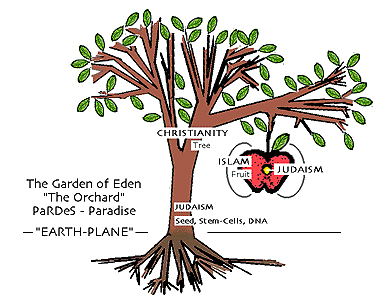 The Tree of Abraham - Video